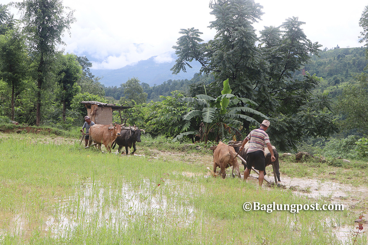 IMG_2223 copy 2.jpg